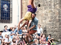 Rasoterra Circo